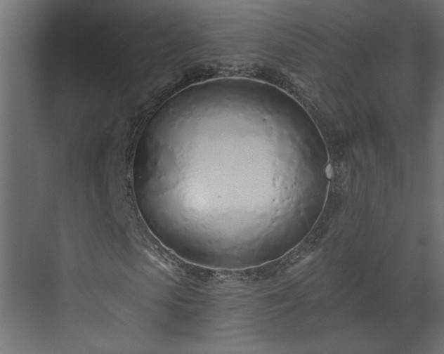 X0000073830913200608170937