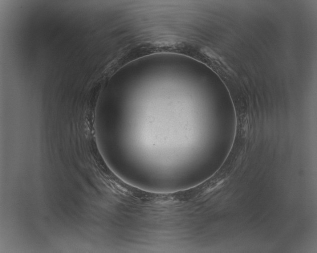 X0000073830916200608170937