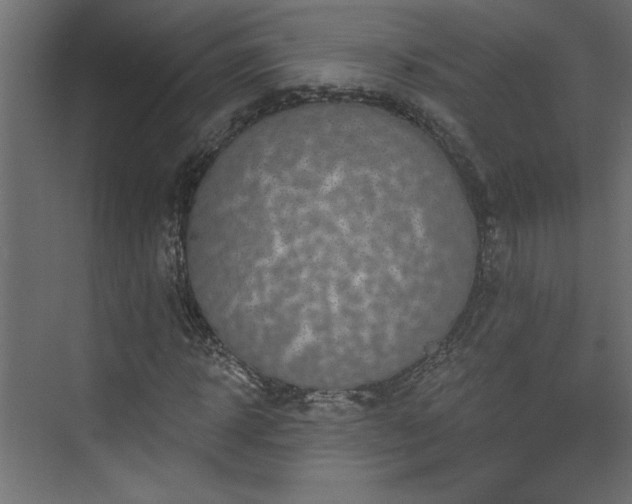 X0000073830918200608170937