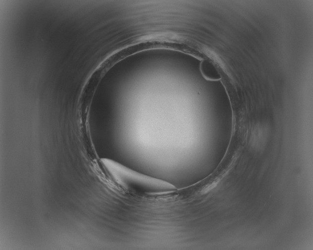 X0000073830923200608170937