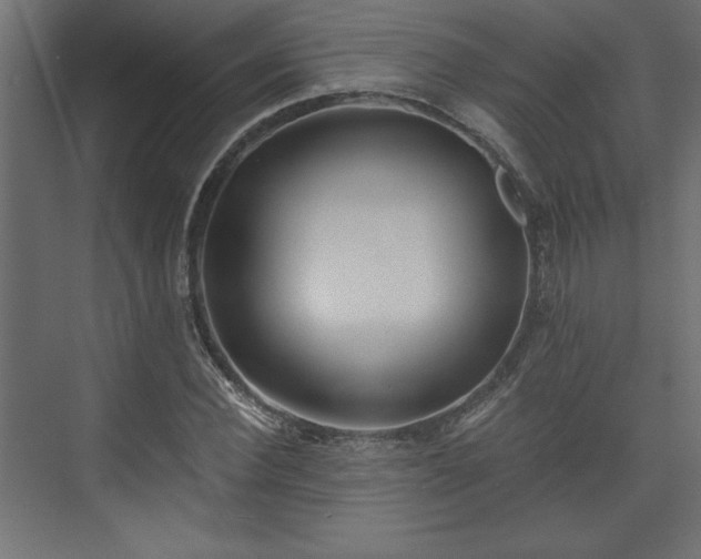 X0000073830924200608170937