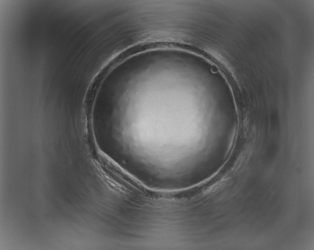 X0000073830925200608170937