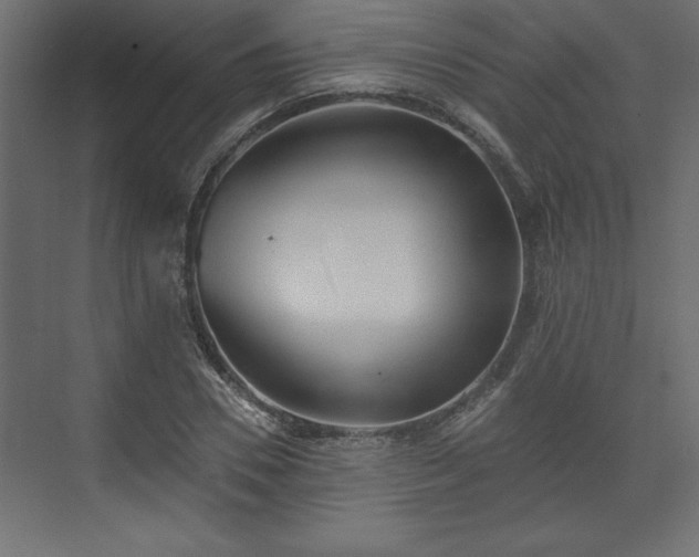 X0000073830930200608170937