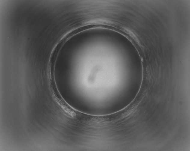 X0000073830931200608170937