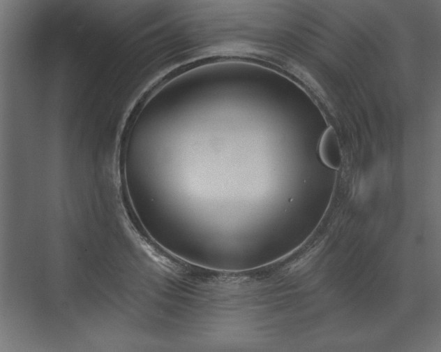 X0000073830939200608170937