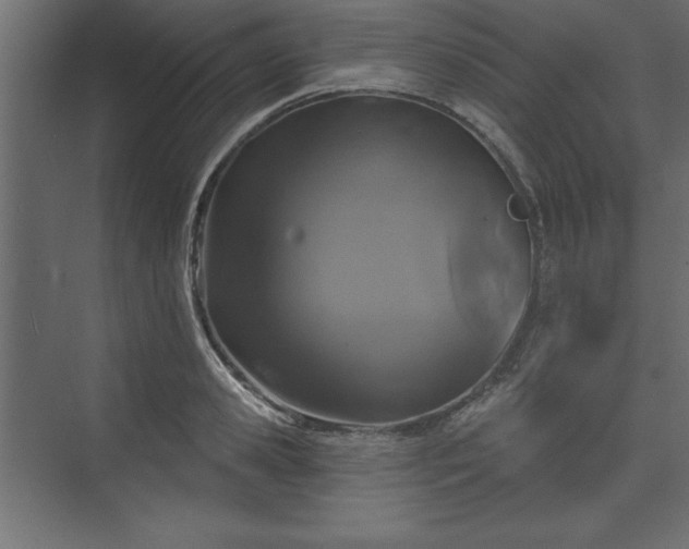 X0000073830941200608170937