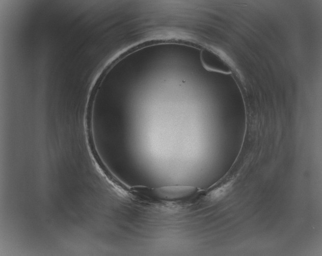 X0000073830943200608170937