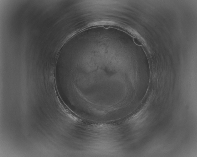 X0000073830945200608170937