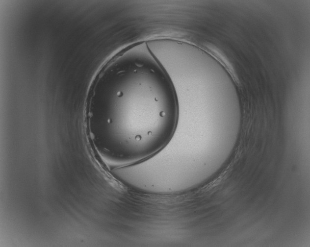 X0000073830948200608170937