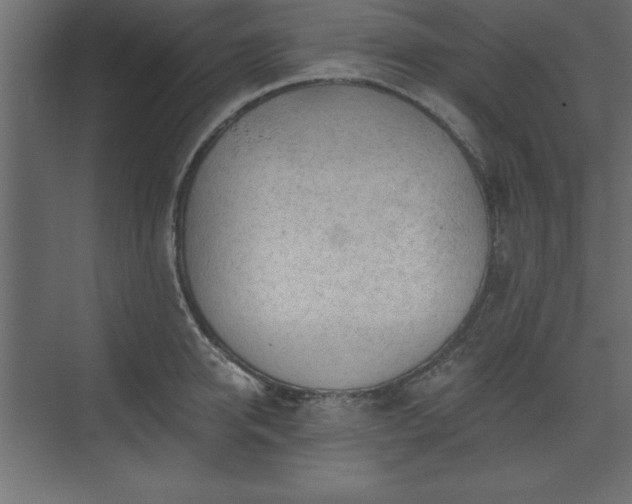 X0000073830950200608170937