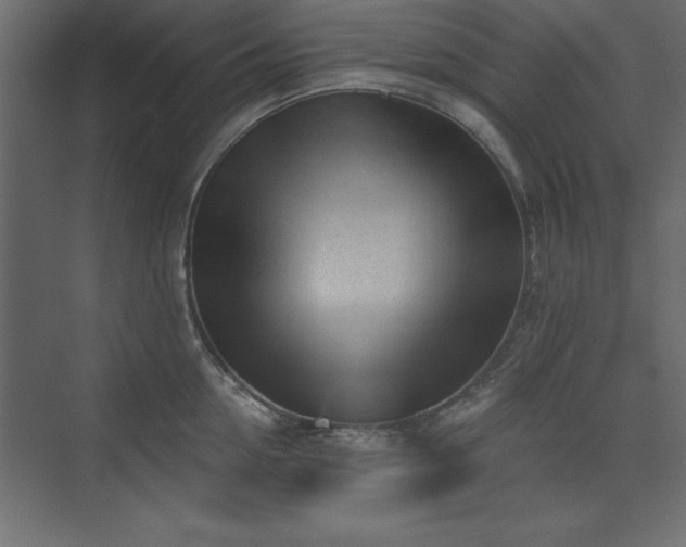 X0000073830954200608170937