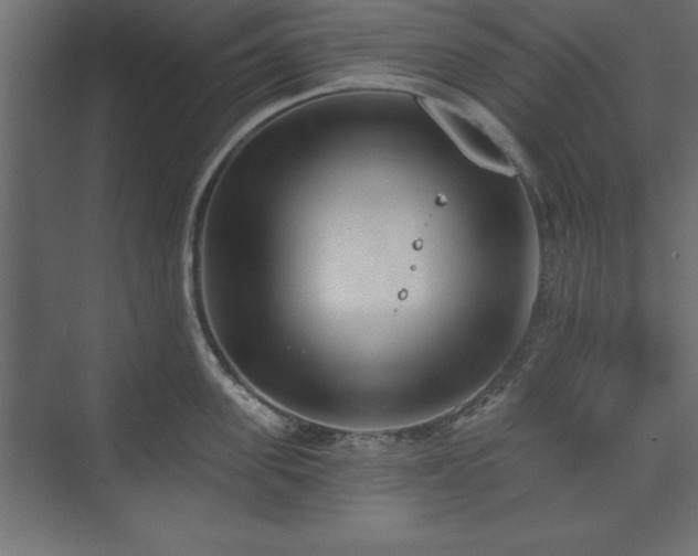 X0000073830955200608170937