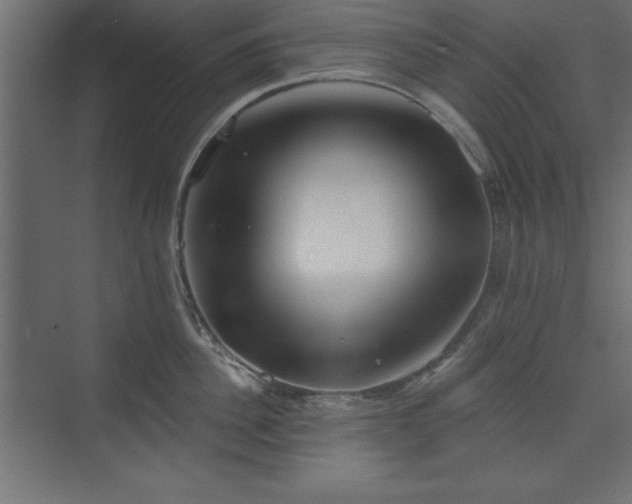 X0000073830956200608170937