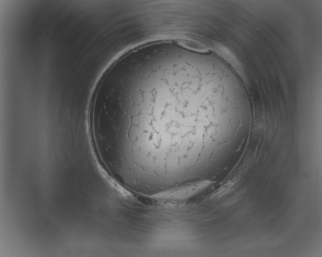 X0000073830958200608170938