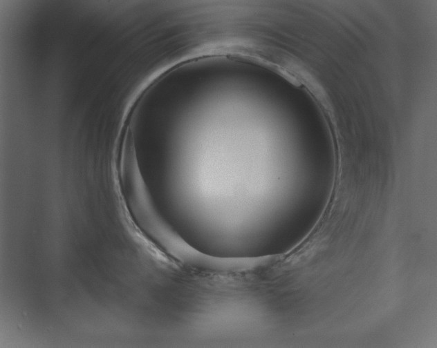 X0000073830960200608170938