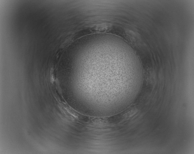 X0000073830962200608170937