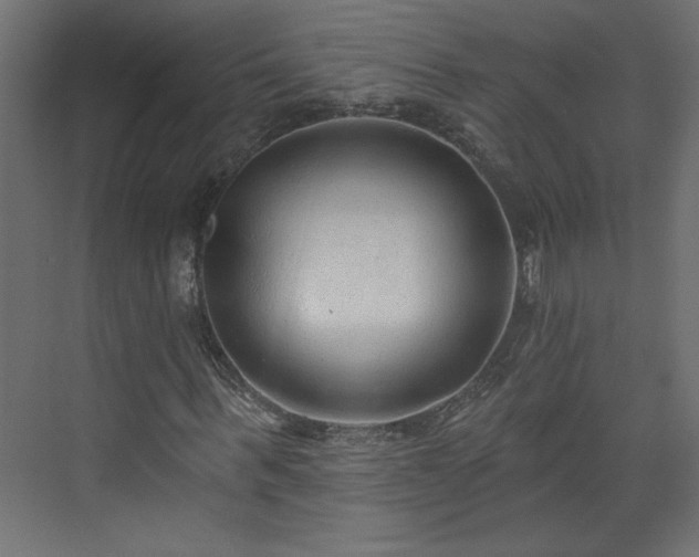 X0000073830963200608170937