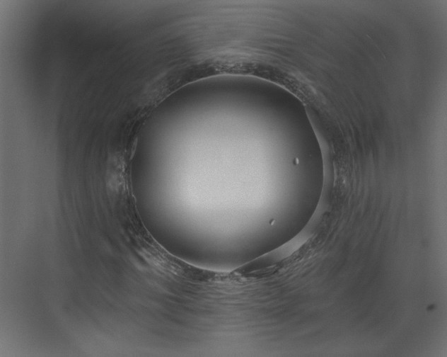 X0000073830964200608170937