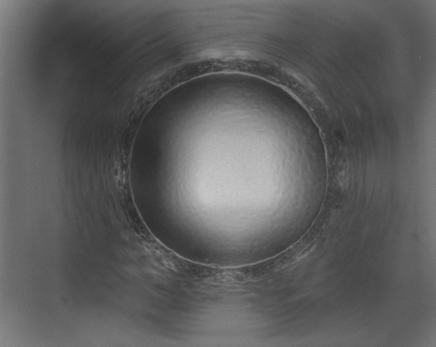 X0000073830966200608170937