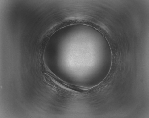 X0000073830967200608170937