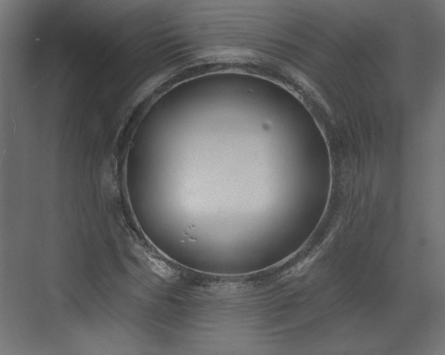 X0000073830970200608170937