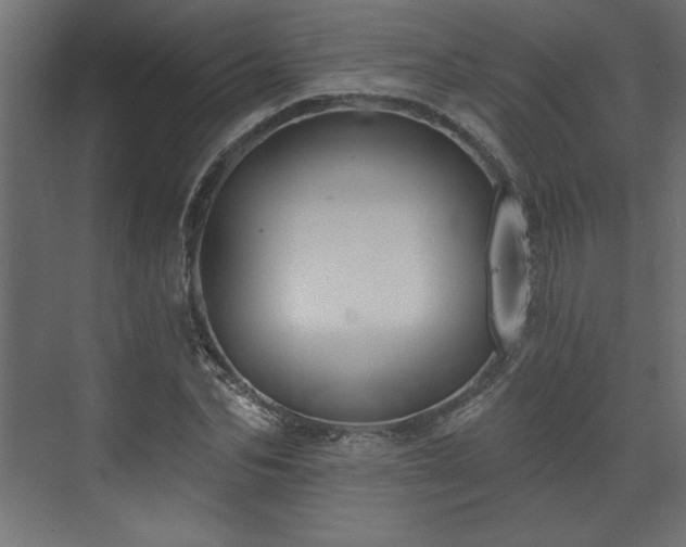 X0000073830974200608170937