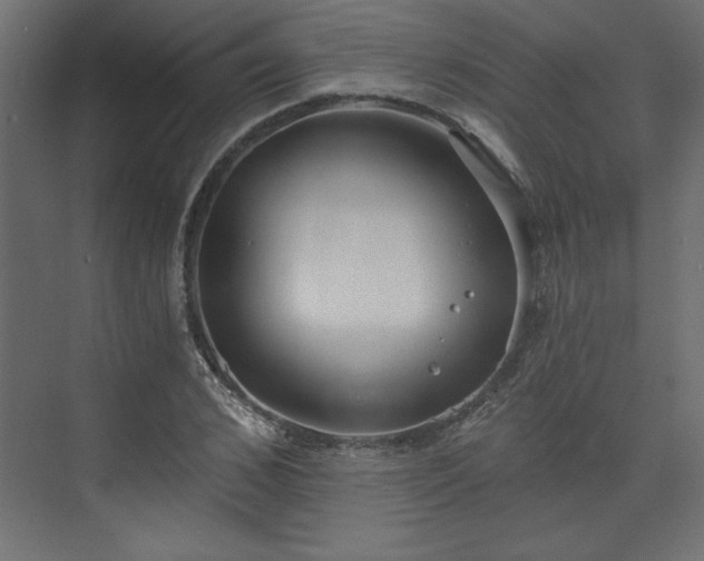 X0000073830976200608170936