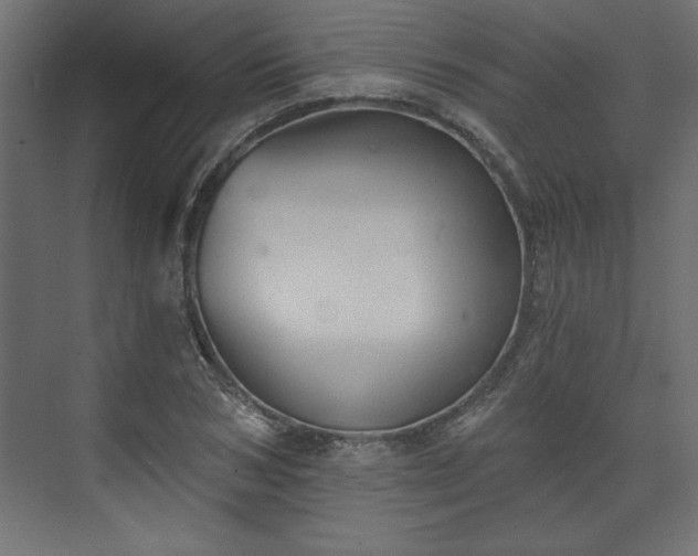 X0000073830978200608170936