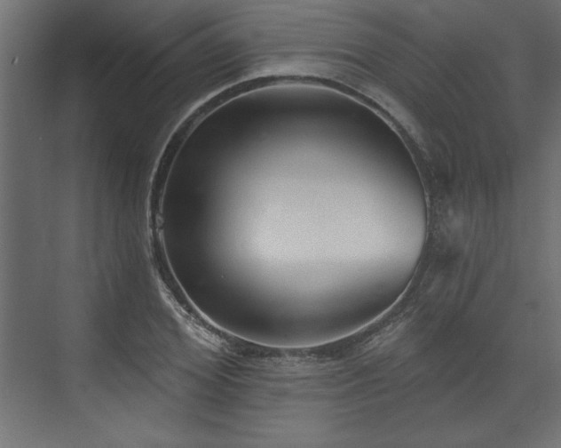 X0000073830980200608170936