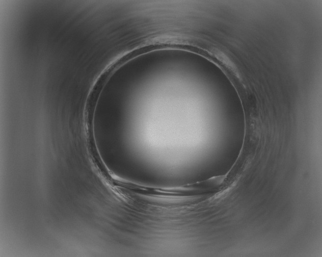 X0000073830981200608170936