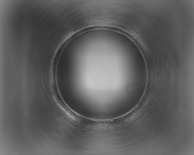 X0000073830982200608170936