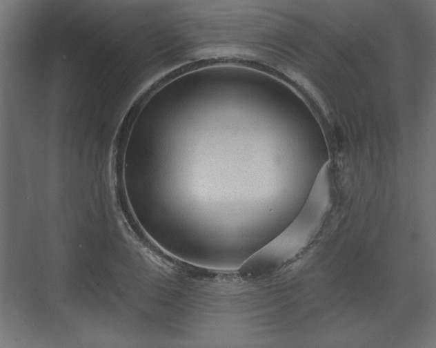 X0000073830983200608170936