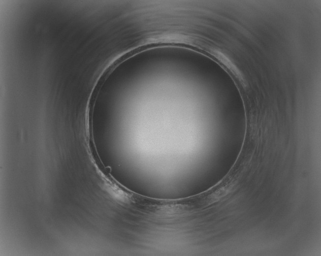 X0000073830988200608170936