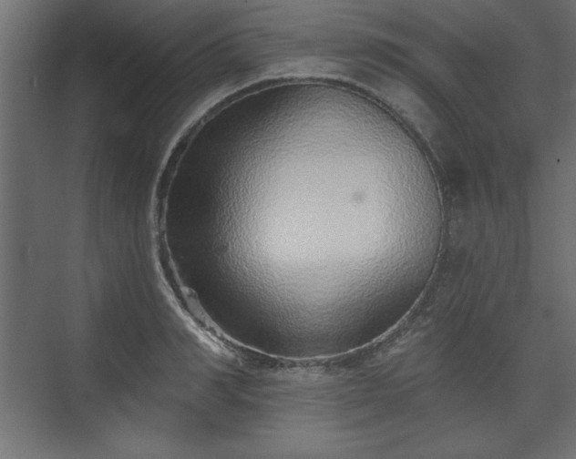 X0000073830990200608170936