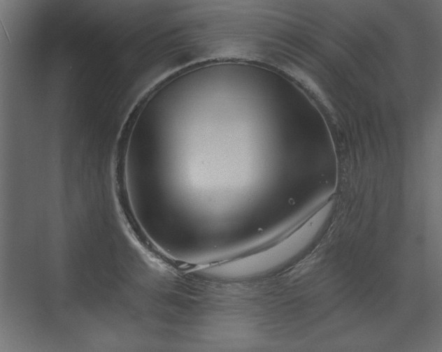 X0000073830991200608170936