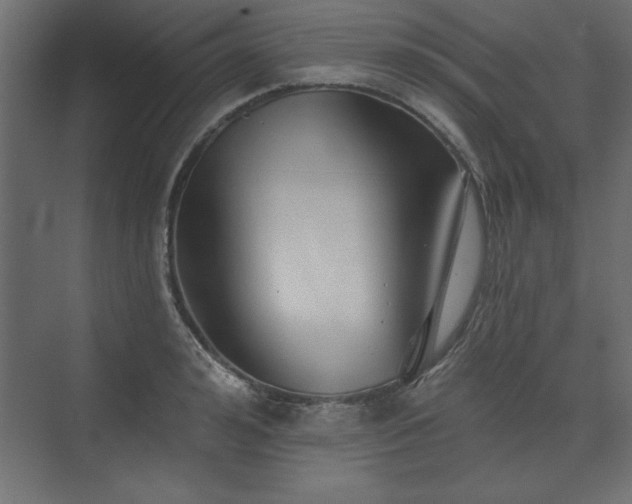 X0000073830992200608170936