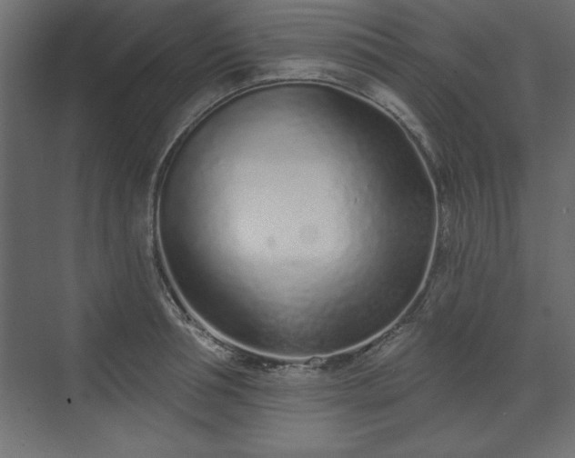 X0000073830994200608170936