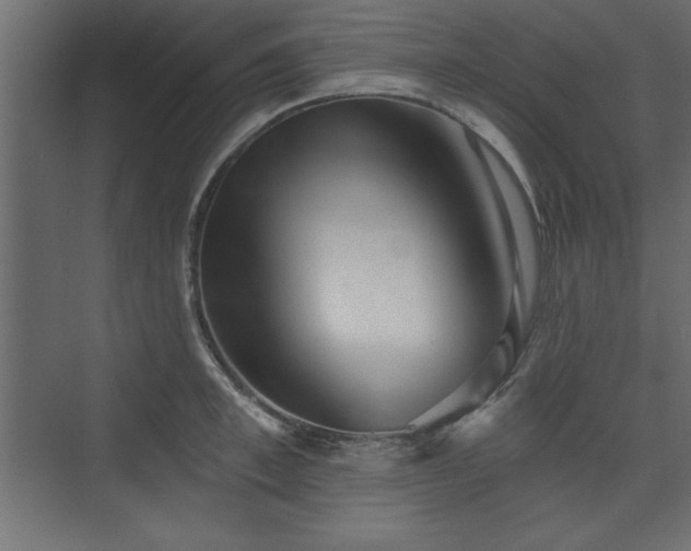 X0000073830997200608170936