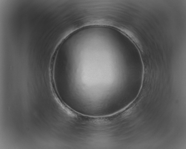 X0000073830998200608170936