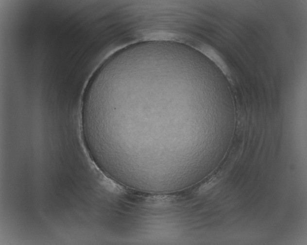 X0000073831000200608170936