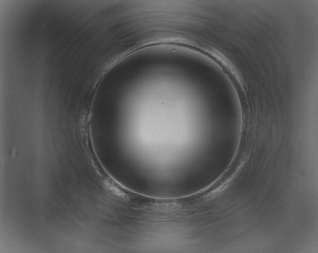 X0000073831001200608170936