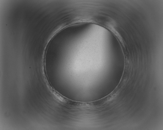 X0000073831002200608170936