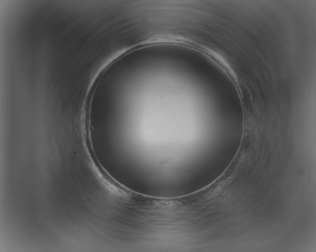 X0000073831003200608170936