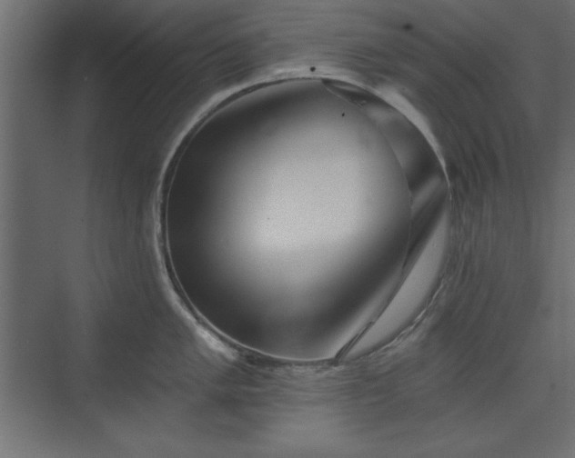 X0000073831005200608170936