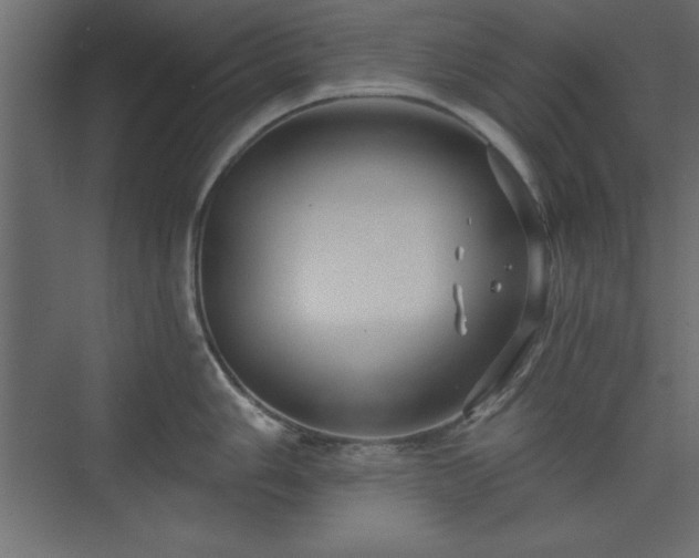 X0000073831006200608170936