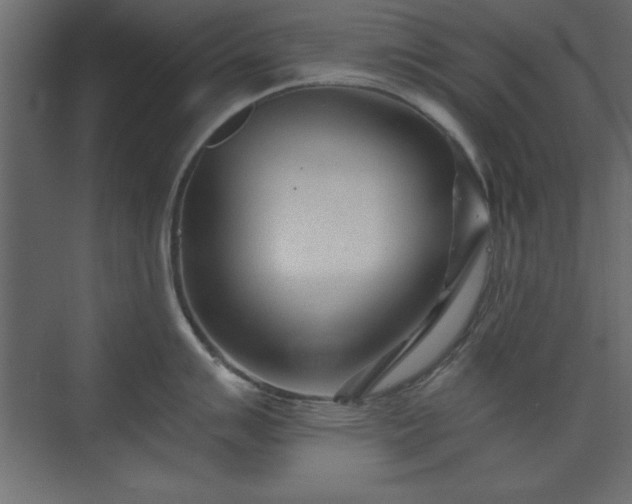 X0000073831007200608170936