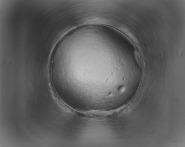 X0000073831008200608170936