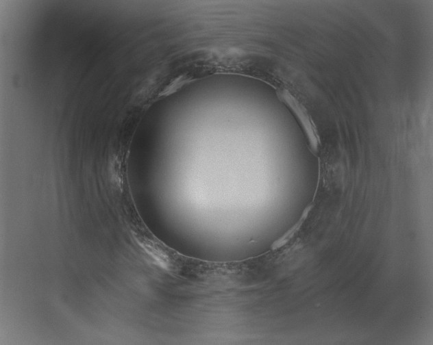 X0000073831010200608170935