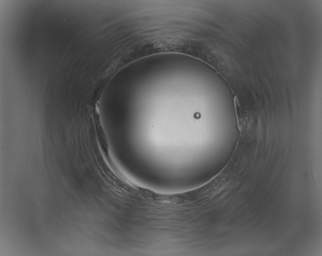 X0000073831012200608170935