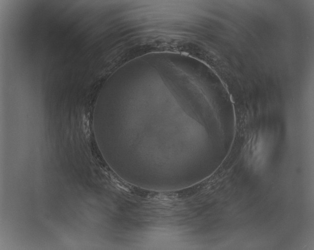 X0000073831013200608170935